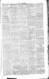 Chelsea News and General Advertiser Saturday 16 November 1867 Page 7