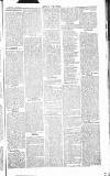 Chelsea News and General Advertiser Saturday 23 November 1867 Page 5