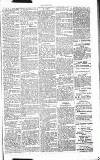 Chelsea News and General Advertiser Saturday 14 December 1867 Page 5