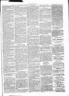 Chelsea News and General Advertiser Saturday 14 December 1867 Page 5