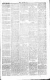 Chelsea News and General Advertiser Saturday 11 January 1868 Page 3