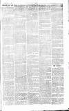 Chelsea News and General Advertiser Saturday 11 January 1868 Page 7