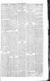 Chelsea News and General Advertiser Saturday 18 January 1868 Page 3