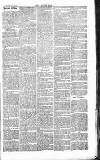 Chelsea News and General Advertiser Saturday 18 January 1868 Page 8