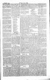 Chelsea News and General Advertiser Saturday 25 January 1868 Page 3