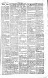 Chelsea News and General Advertiser Saturday 25 January 1868 Page 7