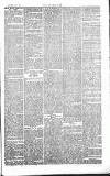 Chelsea News and General Advertiser Saturday 01 February 1868 Page 4