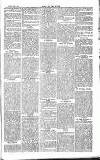 Chelsea News and General Advertiser Saturday 01 February 1868 Page 6