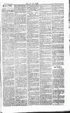 Chelsea News and General Advertiser Saturday 01 February 1868 Page 8