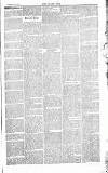 Chelsea News and General Advertiser Saturday 08 February 1868 Page 3