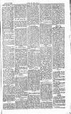 Chelsea News and General Advertiser Saturday 08 February 1868 Page 5