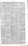 Chelsea News and General Advertiser Saturday 08 February 1868 Page 8