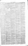 Chelsea News and General Advertiser Saturday 15 February 1868 Page 3