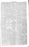 Chelsea News and General Advertiser Saturday 15 February 1868 Page 5