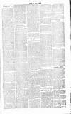 Chelsea News and General Advertiser Saturday 15 February 1868 Page 7