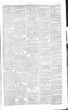 Chelsea News and General Advertiser Saturday 22 February 1868 Page 3