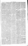 Chelsea News and General Advertiser Saturday 22 February 1868 Page 5