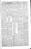 Chelsea News and General Advertiser Saturday 29 February 1868 Page 3