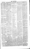 Chelsea News and General Advertiser Saturday 07 March 1868 Page 3