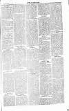 Chelsea News and General Advertiser Saturday 14 March 1868 Page 5