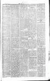 Chelsea News and General Advertiser Saturday 21 March 1868 Page 3