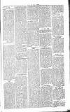 Chelsea News and General Advertiser Saturday 21 March 1868 Page 5