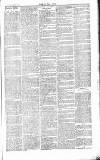 Chelsea News and General Advertiser Saturday 21 March 1868 Page 7