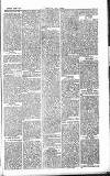 Chelsea News and General Advertiser Saturday 28 March 1868 Page 5