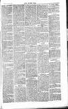 Chelsea News and General Advertiser Saturday 28 March 1868 Page 7