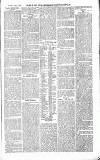 Chelsea News and General Advertiser Saturday 11 April 1868 Page 5