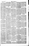 Chelsea News and General Advertiser Saturday 18 April 1868 Page 5