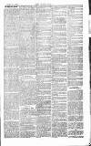 Chelsea News and General Advertiser Saturday 18 April 1868 Page 7