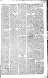 Chelsea News and General Advertiser Saturday 11 July 1868 Page 5