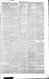 Chelsea News and General Advertiser Saturday 11 July 1868 Page 7