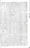 Chelsea News and General Advertiser Saturday 12 December 1868 Page 3