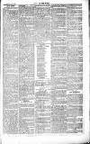 Chelsea News and General Advertiser Saturday 06 February 1869 Page 3