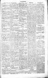 Chelsea News and General Advertiser Saturday 06 February 1869 Page 5