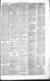 Chelsea News and General Advertiser Saturday 20 February 1869 Page 7