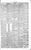 Chelsea News and General Advertiser Saturday 27 February 1869 Page 3