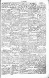 Chelsea News and General Advertiser Saturday 27 February 1869 Page 5