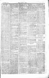 Chelsea News and General Advertiser Saturday 27 February 1869 Page 7