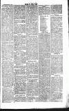 Chelsea News and General Advertiser Saturday 13 March 1869 Page 7