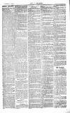 Chelsea News and General Advertiser Saturday 20 March 1869 Page 3