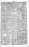 Chelsea News and General Advertiser Saturday 17 April 1869 Page 3