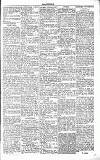 Chelsea News and General Advertiser Saturday 01 May 1869 Page 5