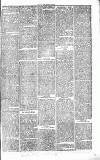Chelsea News and General Advertiser Saturday 01 May 1869 Page 7