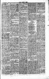 Chelsea News and General Advertiser Saturday 08 May 1869 Page 7