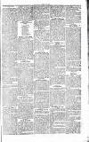 Chelsea News and General Advertiser Saturday 15 May 1869 Page 7