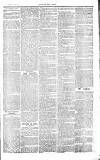 Chelsea News and General Advertiser Saturday 22 May 1869 Page 3