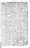 Chelsea News and General Advertiser Saturday 22 May 1869 Page 7